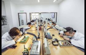 百达翡丽腕表表针不走了处理技巧（常见故障排查与维修建议）
